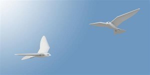 3d-printed-flying-robirds-incredible-new-breed-scarecrow-1