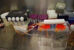 students-succesfully-clone-cancer-tumors-using-3d-printed-device2