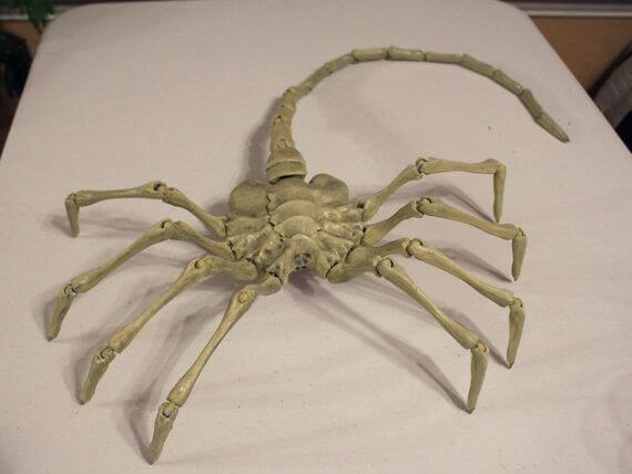 3d-modell alien facehugger 3d-model