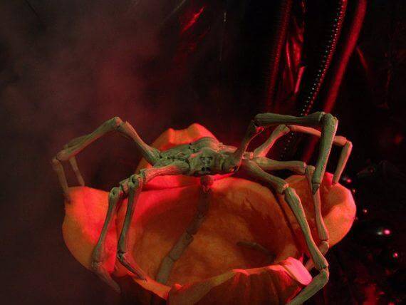 3d-modell halloween face hugger