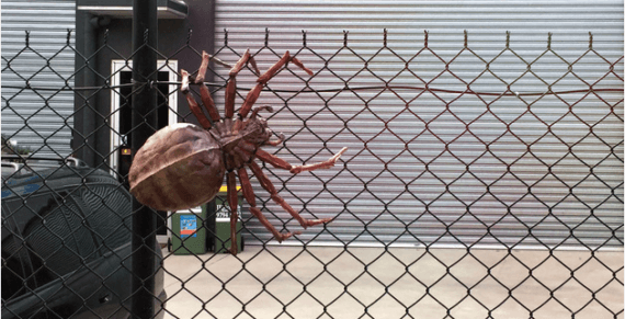 3d-modell halloween spinne