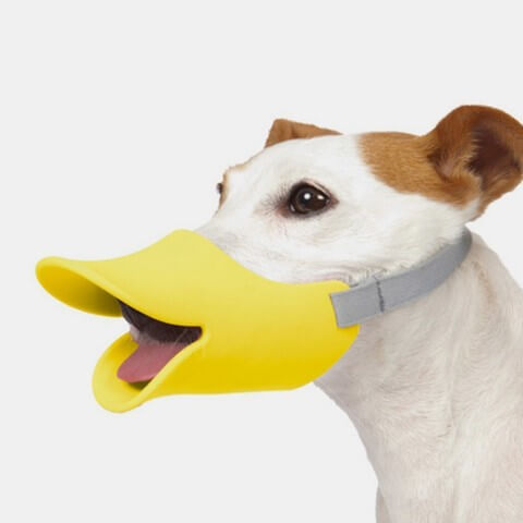 3d-modell enten maulkorb fuer hunde 3d model dog muzzle duck
