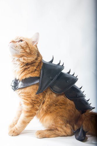 3d model cat armor 3d-modell katzen rüstung