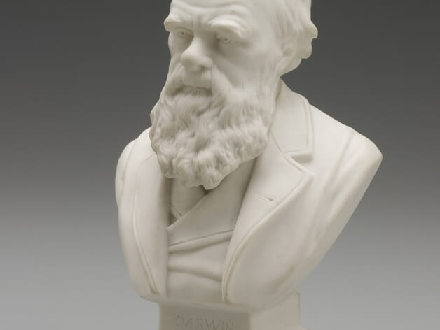 3d-modell charles darwin 3d model