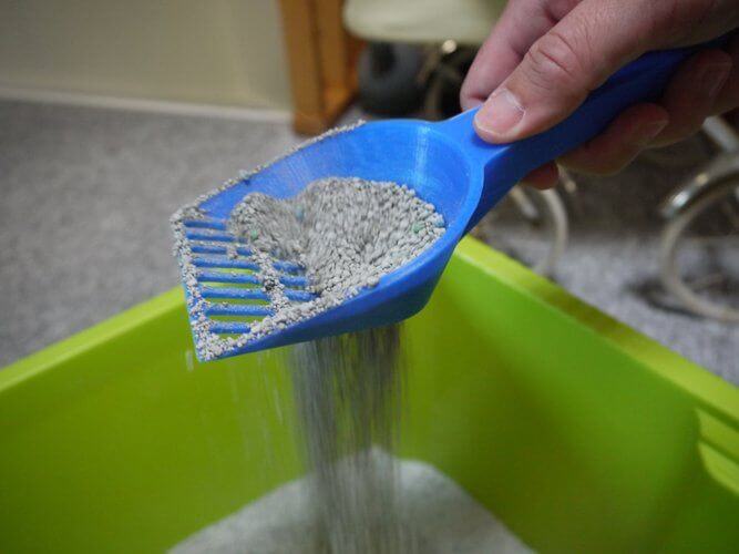 3d-modell katzen klo schaufel 3d model cat litter scoop