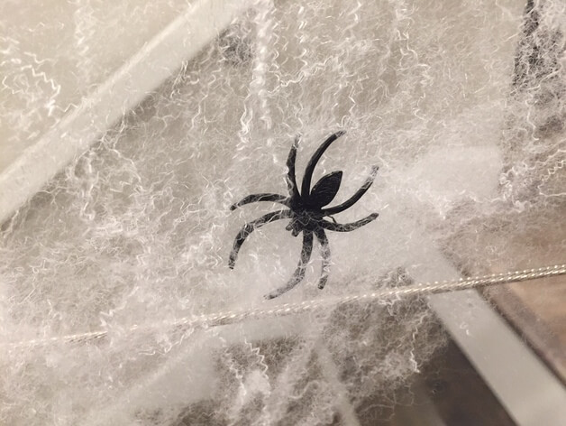 3d-modell spinne 3d model spider